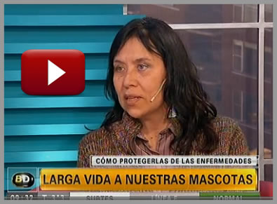 Marketing Viral en Facebook